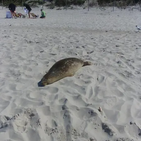 Lejlighed 45 Baltic Park *